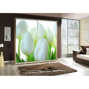 TULIPÁN