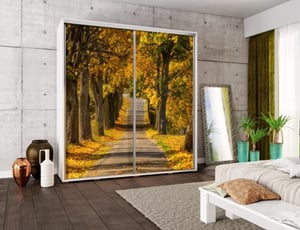 cesta lesem