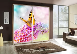 MOTYL 1