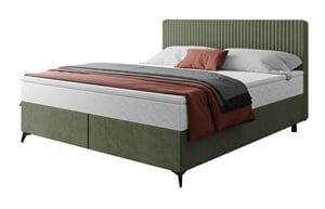  tilia37+manila34 GREEN