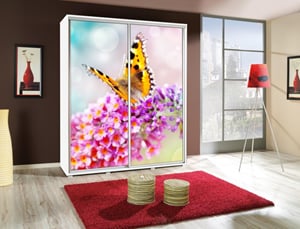 MOTYL 3