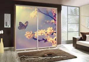 MOTYL 2