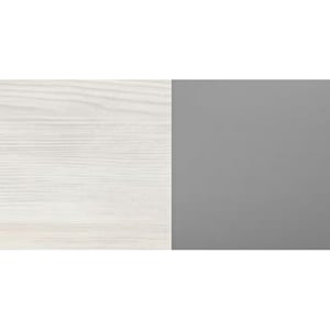 borovice noverská =šedá